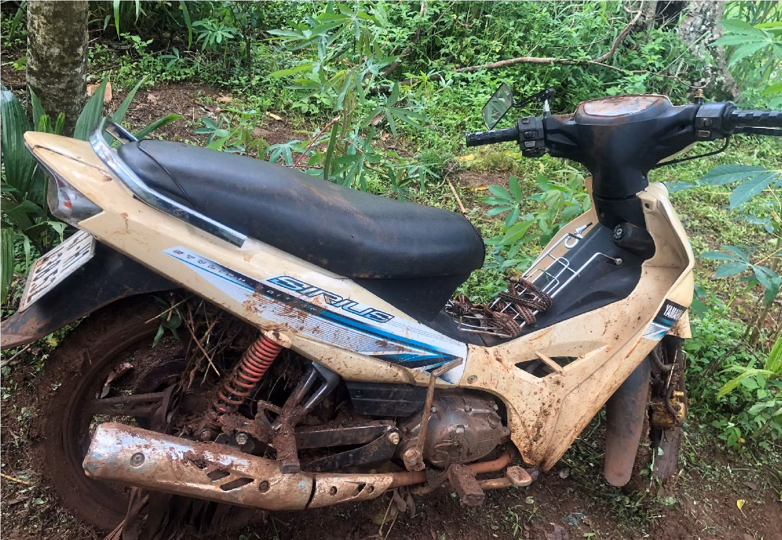 Vụ gây mất ANTT tại Đắk Lắk: Chuyện chưa kể về những cuộc vây ráp, truy bắt nhóm khủng bố -0