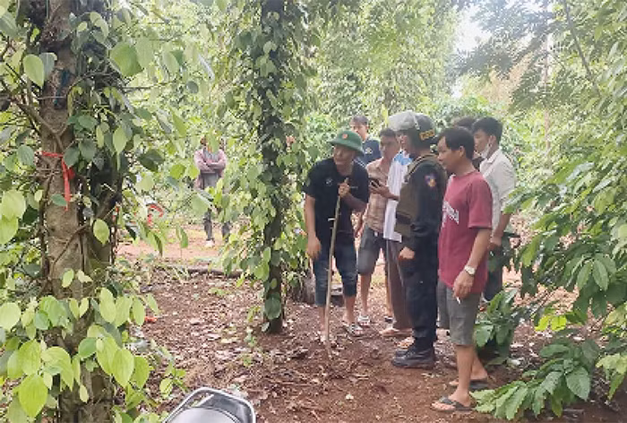 Bình yên trở lại với Cư Kuin -0
