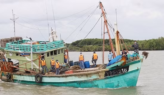 Tăng cường tuần tra, xử lý tàu cá vi phạm quy định “thẻ vàng” IUU
