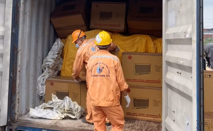 Gần 9 tấn gỗ giáng hương ngụy trang dụng cụ cầm tay -0