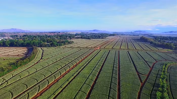 Vinamilk công bố đối tác liên doanh tại Philippines -0