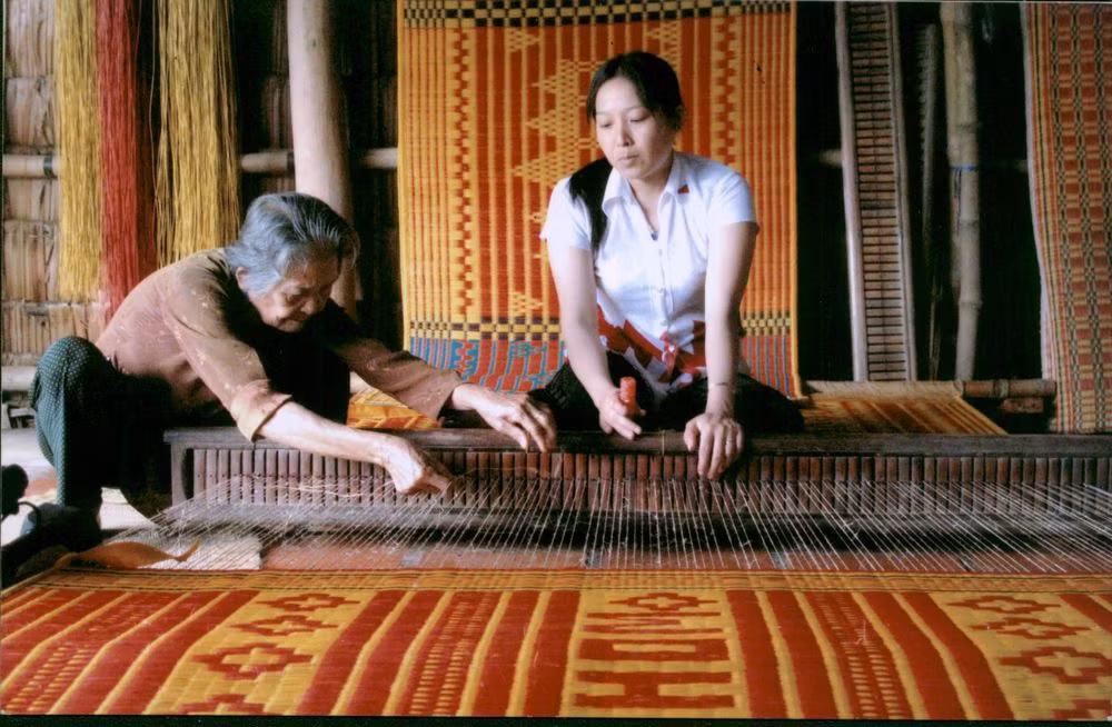 Bí mật của đồng cói -0
