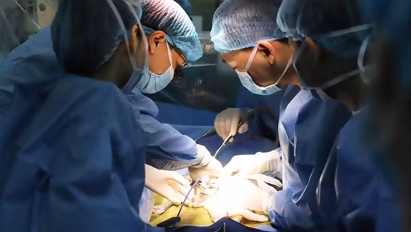 Lan tỏa thông điệp “Cho đi là còn mãi” &nbsp;từ thân nhân người hiến tạng chết não ảnh 5