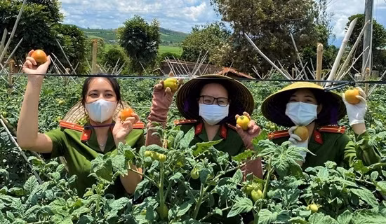 Tội phạm về trật tự xã hội ở Lâm Đồng giảm gần 9,4% ảnh 5