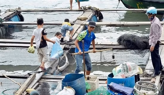 Cưỡng chế công trình sai phạm tại Vườn quốc gia Cát Bà ảnh 3