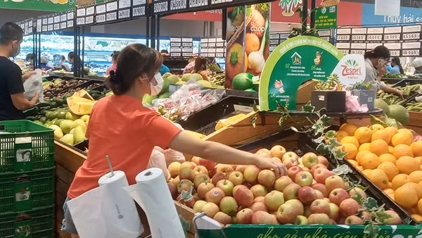 Cần tháo gỡ khó khăn cho ngành cá tra vượt qua đại dịch ảnh 3