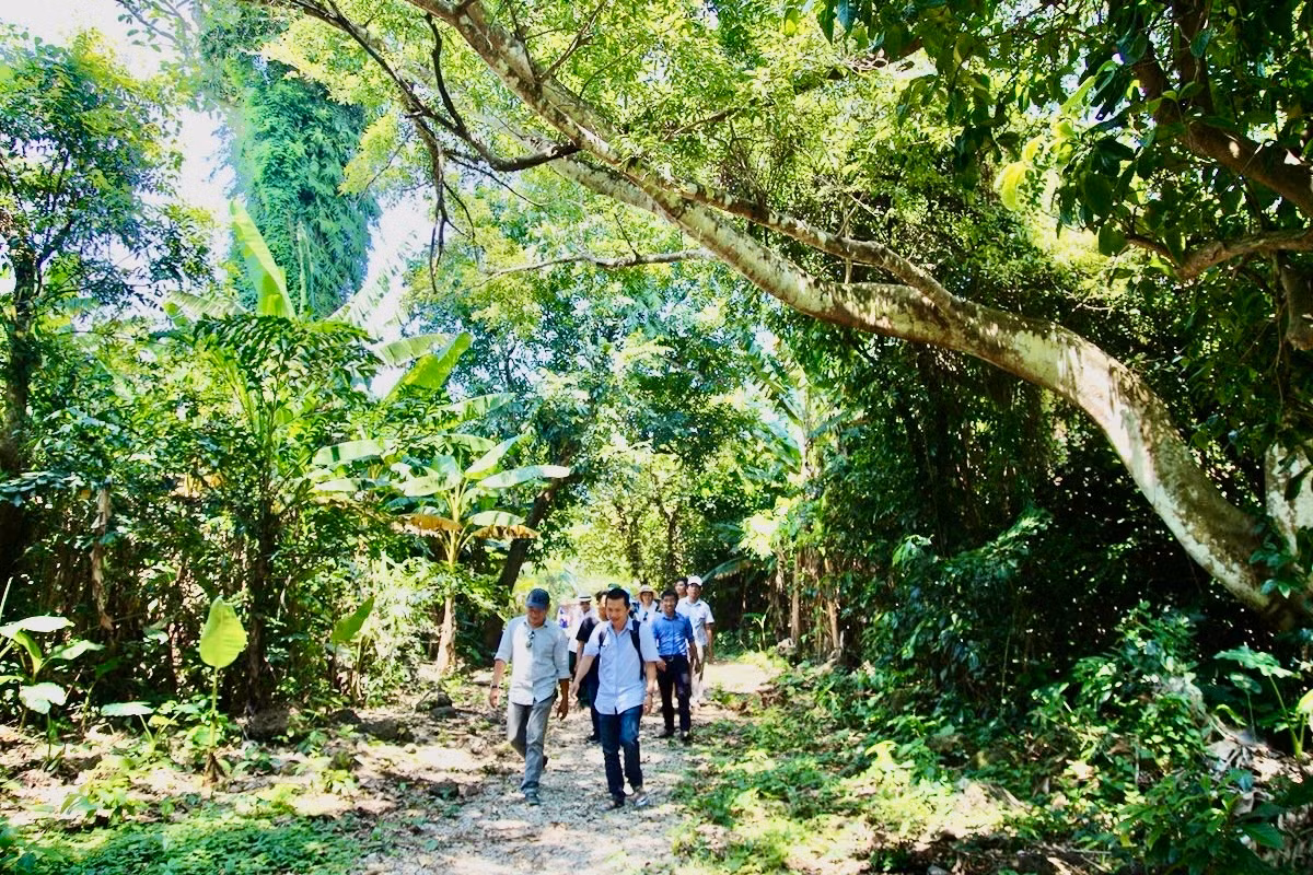 Cồn Cỏ – mùa gió mới từ một hòn đảo tiền tiêu -0