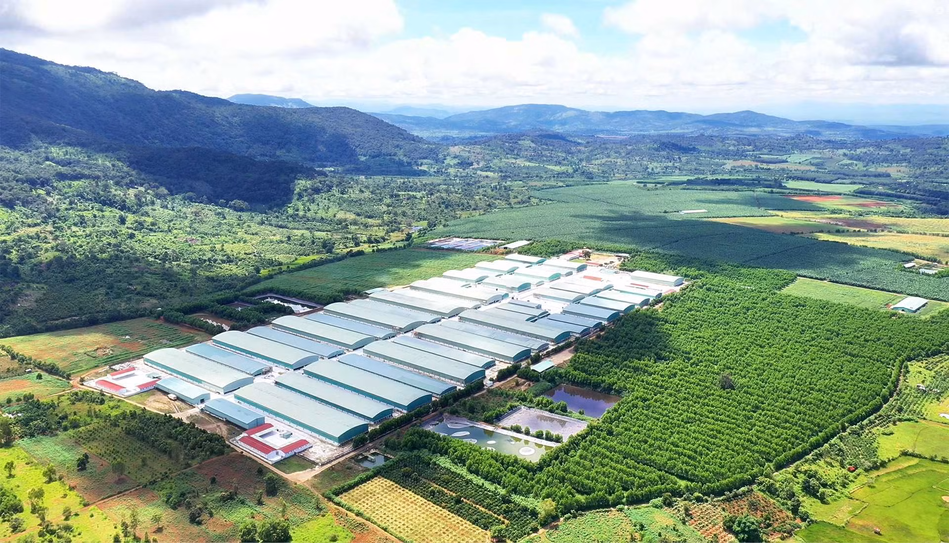 OCB ghi nhận lợi nhuận quý I/2026 tăng 37% so với cùng kỳ -0