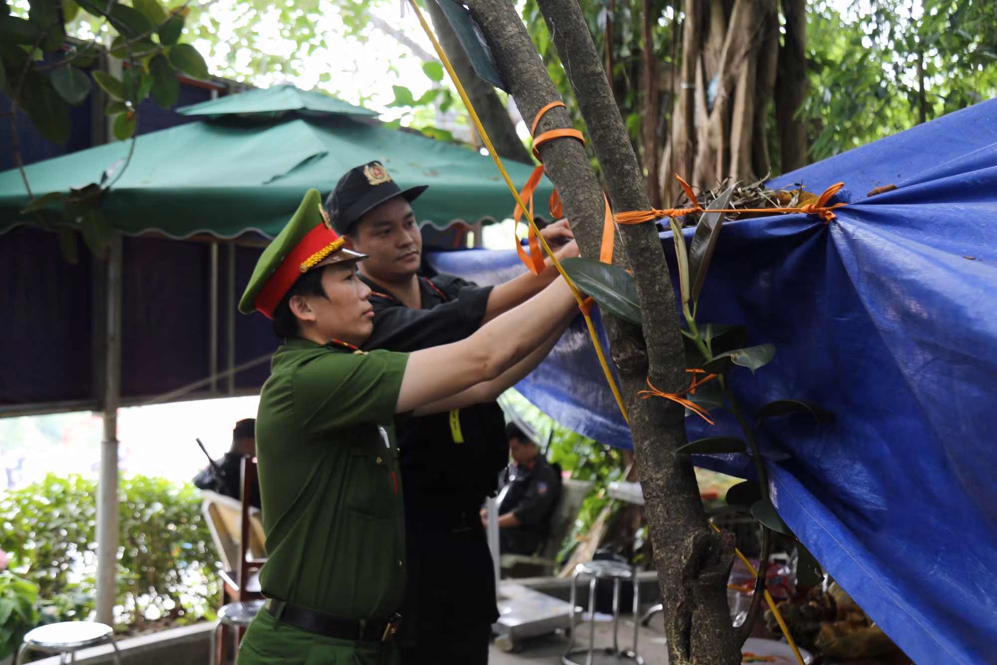 Bình yên mùa lễ hội - lan tỏa cảm xúc thiêng liêng nơi đất Tổ -0