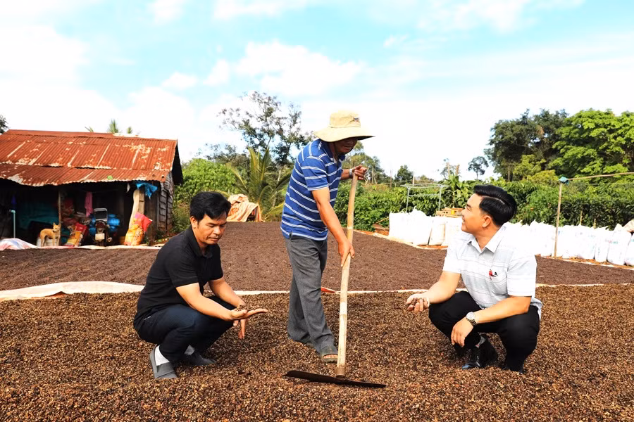 “Thay da, đổi thịt” trên quê hương cách mạng Sơn Điền -0