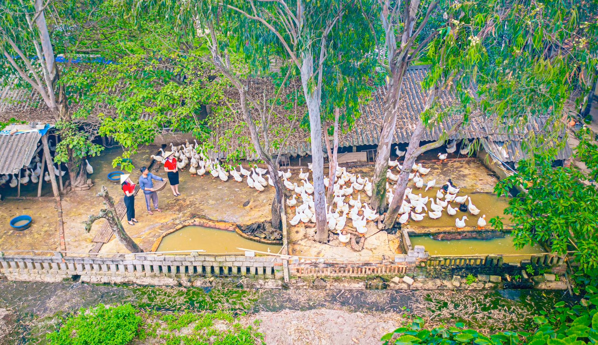 Top 10 Ngân hàng ESG Việt Nam 2026: Dấu ấn Agribank -1