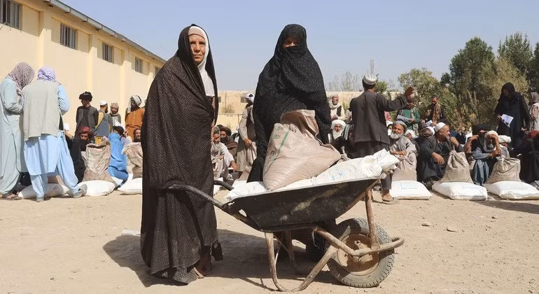 Afganistan trên hành trình loại bỏ cây thuốc phiện -0