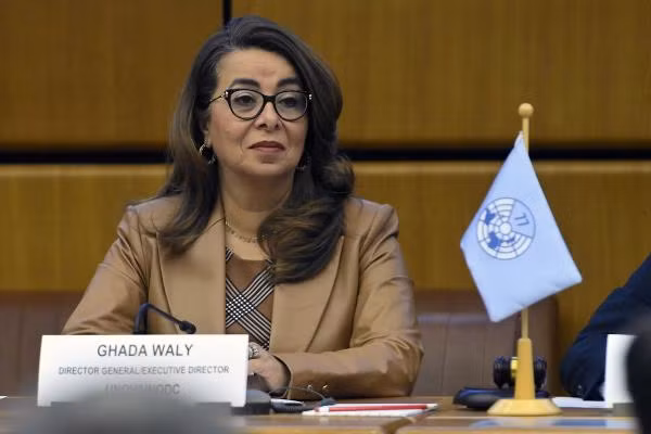 Afganistan trên hành trình loại bỏ cây thuốc phiện -0