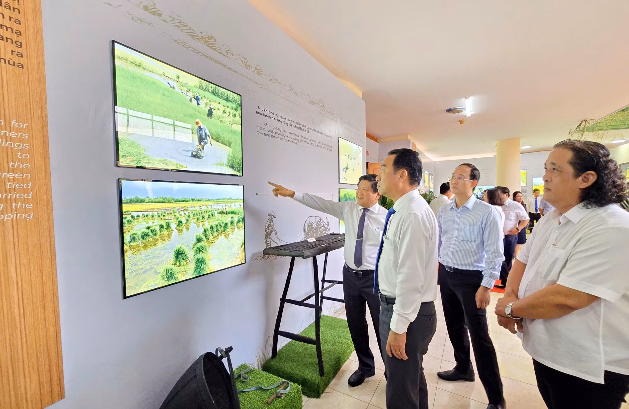 Thành lập Bảo tàng lúa nước tỉnh Cà Mau -0