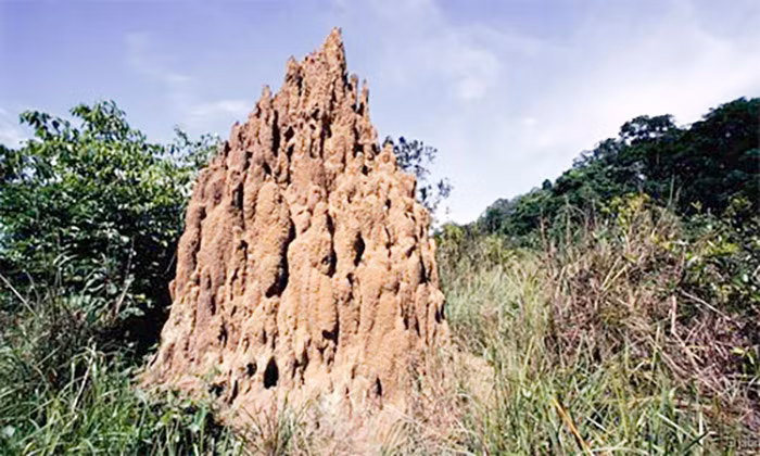 image003.jpg -1