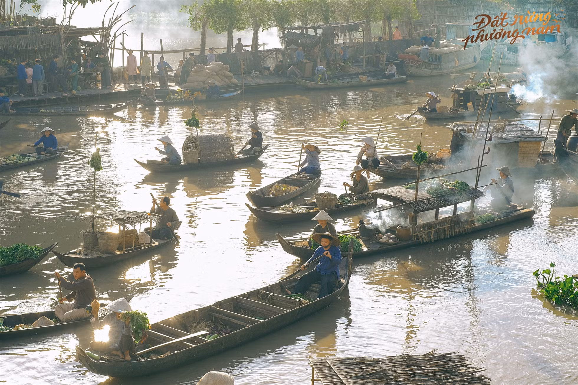 1 dat rung phuong nam.jpg -0