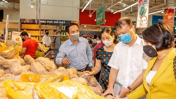 Kinh tế Việt Nam vẫn vững vàng và đang phục hồi mạnh mẽ