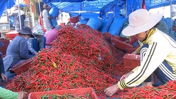 Những quy định nghiêm ngặt của thị trường xuất khẩu