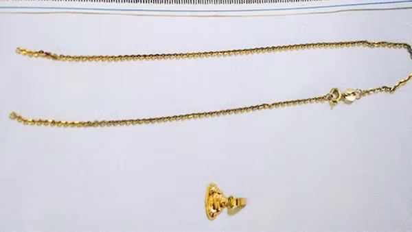 Gặp phải cô gái mưu trí, hai kẻ cướp giật ra đầu thú