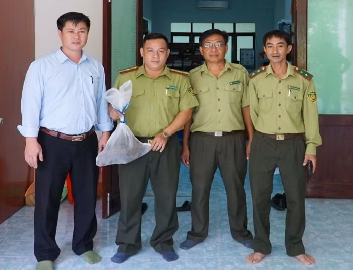 Người dân giao nộp 2 con tê tê java cho kiểm lâm -0