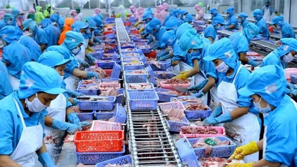 Xuất siêu nông, lâm, thủy sản tăng gần 2 lần so với cùng kỳ năm 2021