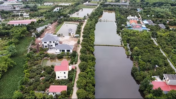 Hải Phòng tràn lan công trình xây dựng trên đất nông nghiệp