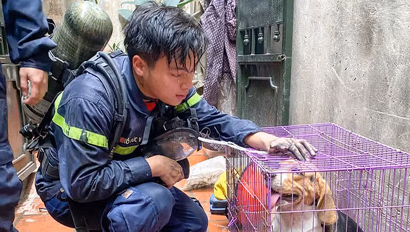 Các anh hy sinh để người dân được sống -0