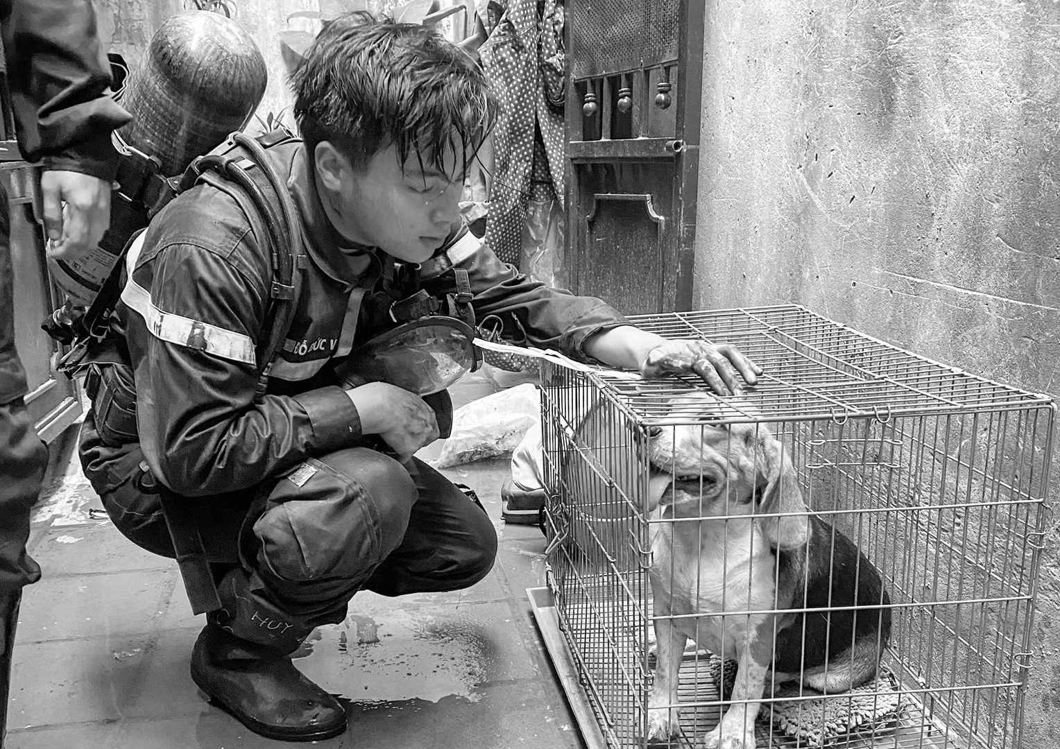hình ảnh trung úy đỗ đức việt trong một lần làm nhiệm vụ cứu nạn.jpg -0