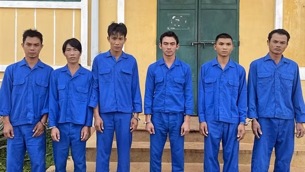 Thuê ô tô trộm hơn 3 tạ "tiểu hổ" đem bán