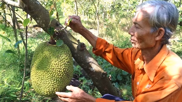 Tình trạng di cư vẫn là thách thức lớn đối với ĐBSCL
