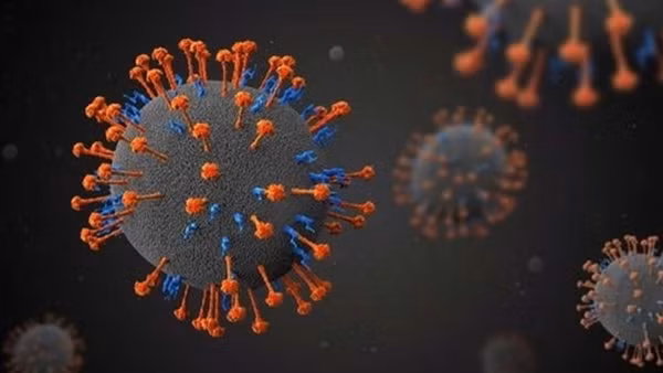 Phát hiện virus mới có thể gây chết người tại Trung Quốc