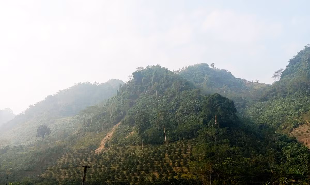 Nhớ mãi một thời cắm bản 
