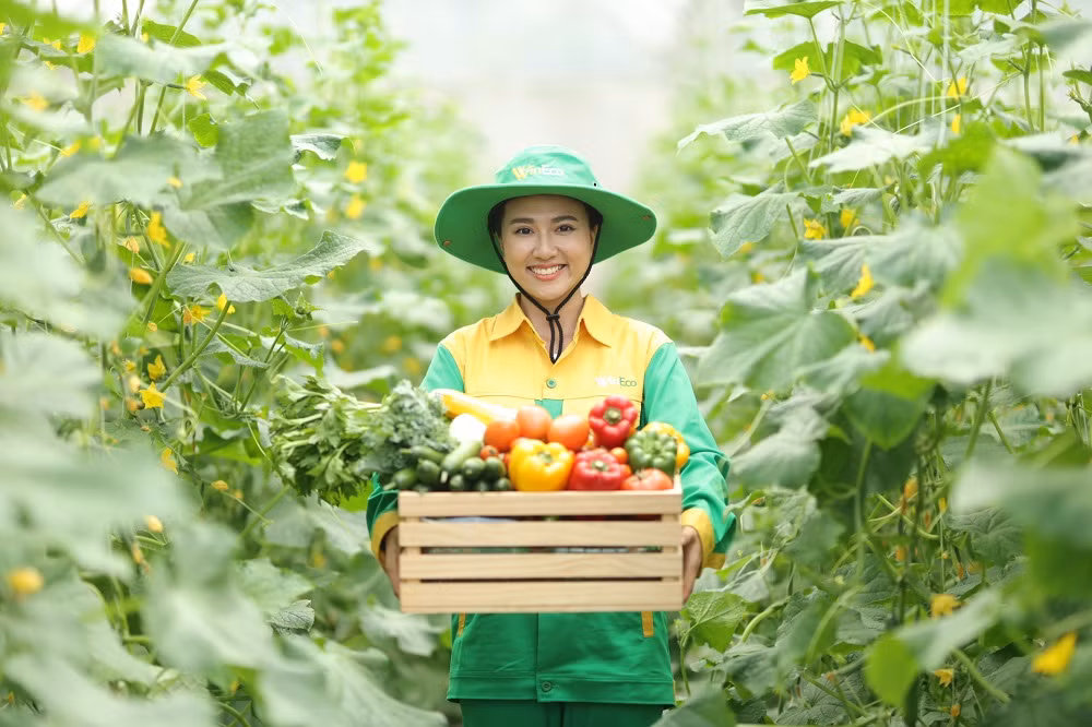 Masan: Kiên định xây dựng nền tảng kinh doanh bền vững -0
