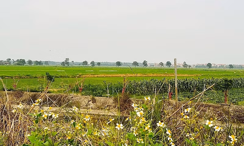 Bắc Ninh: Thanh tra Bộ Xây dựng yêu câù giải trình những bất thường trong quy&nbsp; hoạch Cụm công nghiệp Lâm Bình -0