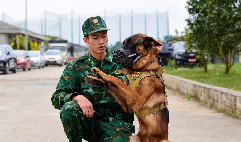 Chó nghiệp vụ từng cứu hộ Làng Nủ, trình diễn phục vụ người dân tham quan Triển lãm Quốc phòng quốc tế Việt Nam 2024 -1