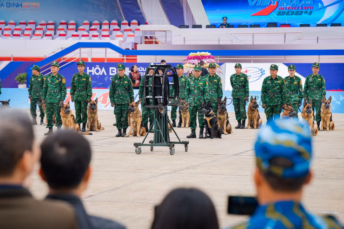 Chó nghiệp vụ từng cứu hộ Làng Nủ, trình diễn phục vụ người dân tham quan Triển lãm Quốc phòng quốc tế Việt Nam 2024 -1