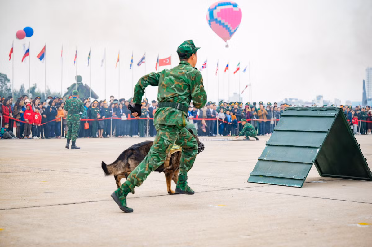Chó nghiệp vụ từng cứu hộ Làng Nủ, trình diễn phục vụ người dân tham quan Triển lãm Quốc phòng quốc tế Việt Nam 2024 -2