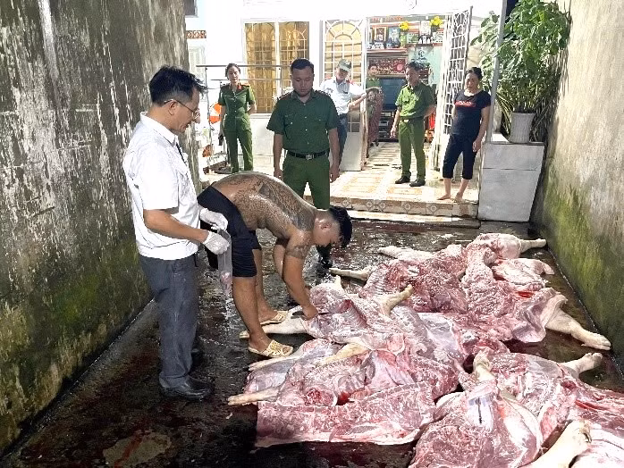 Khởi tố nhóm đối tượng chuyên thu gom lợn chết, lợn dịch xẻ thịt bán ra thị trường -0