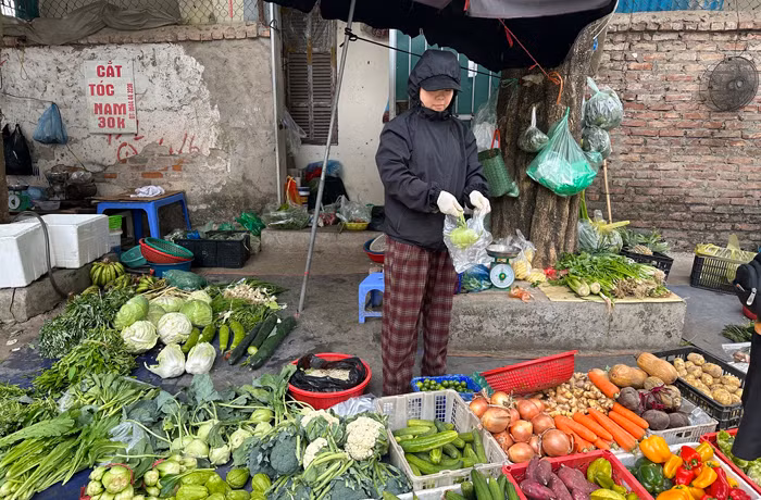 Giá đỗ không nguồn gốc, xuất xứ vẫn bán tràn lan trên thị trường -0