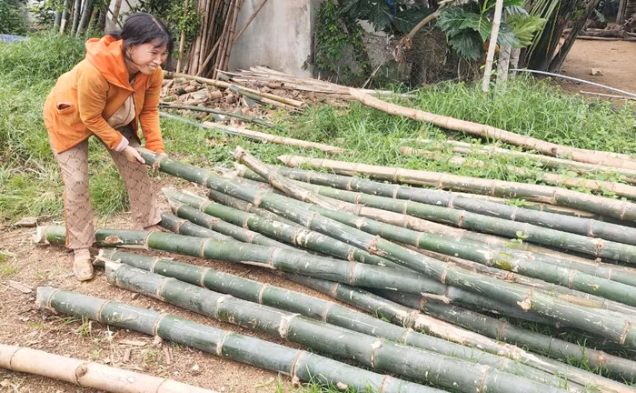 Phú Mỹ mai này còn có thúng chai? -0