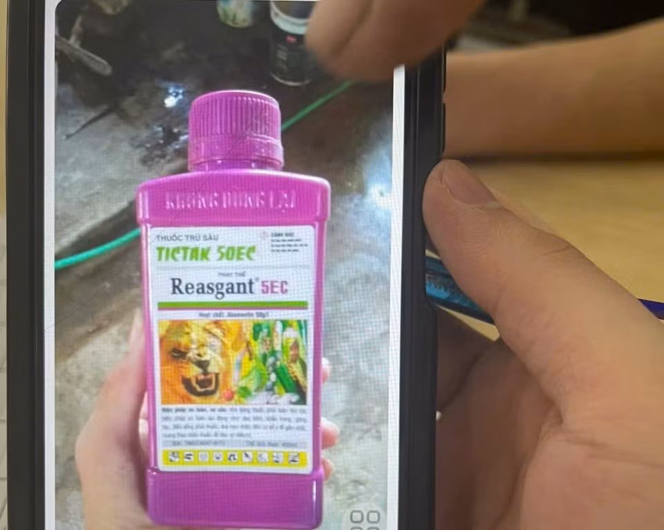 Bác sĩ kịp thời cứu sống cháu bé 8 tuổi ngộ độc thuốc trừ sâu -0