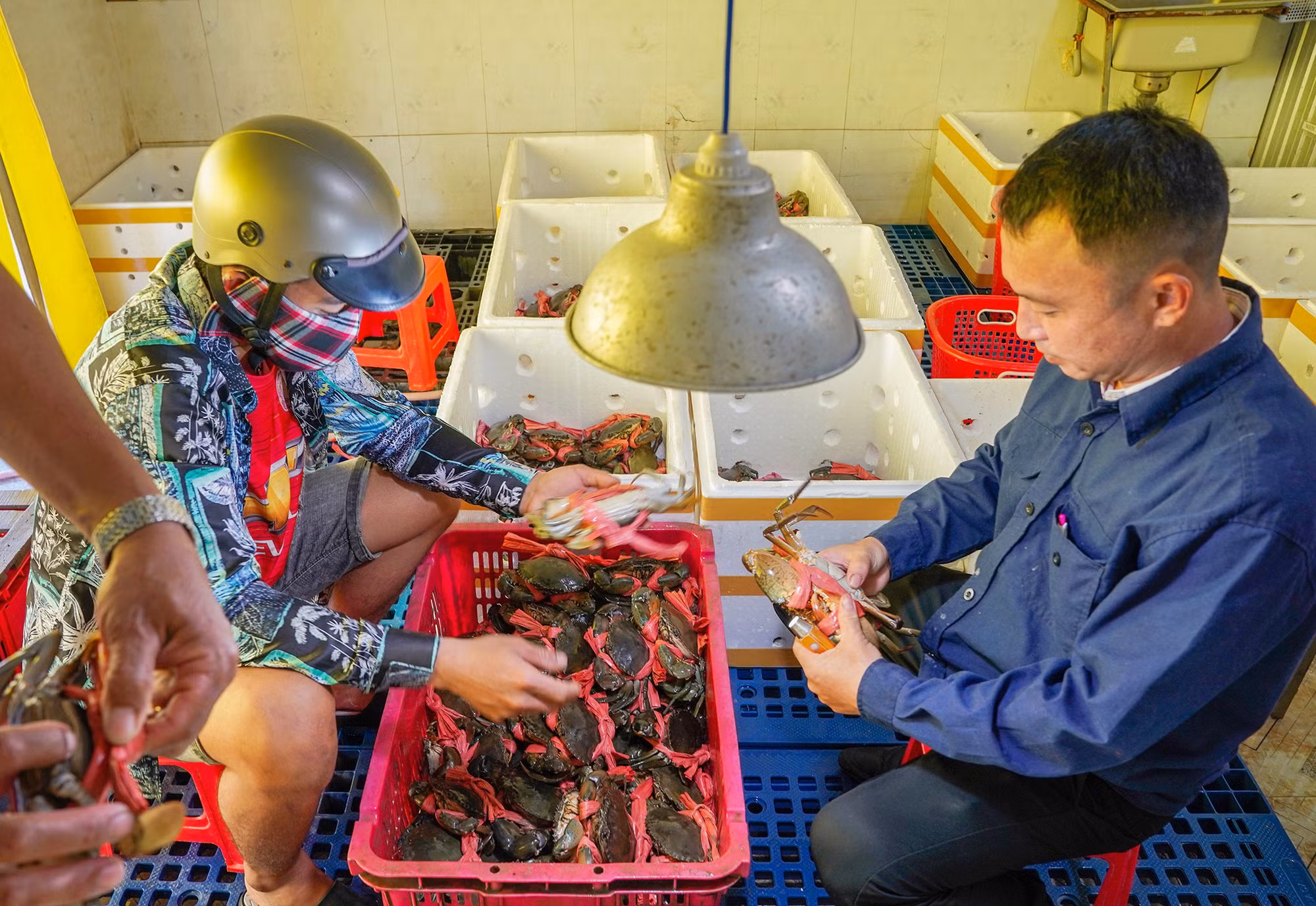 Khai thác giá trị thương hiệu cua Năm Căn (Cà Mau) -0