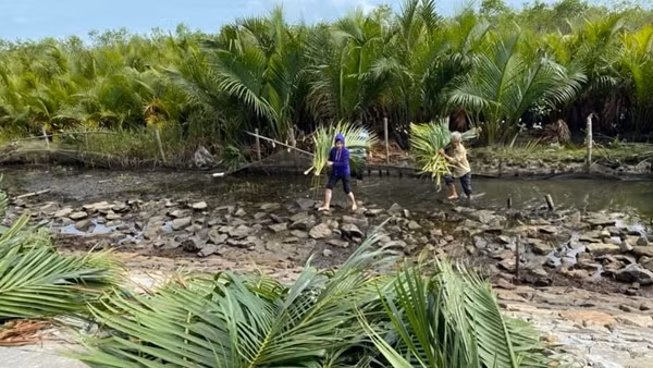 Giảm khai thác rừng và săn bắt động vật hoang dã trái phép ở Thừa Thiên Huế