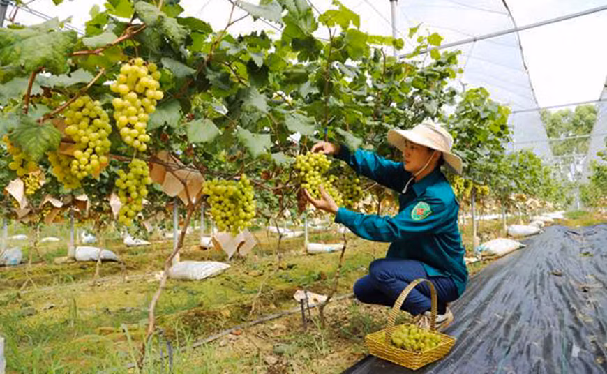 02102024trungmy02 bài 2.jpg -1