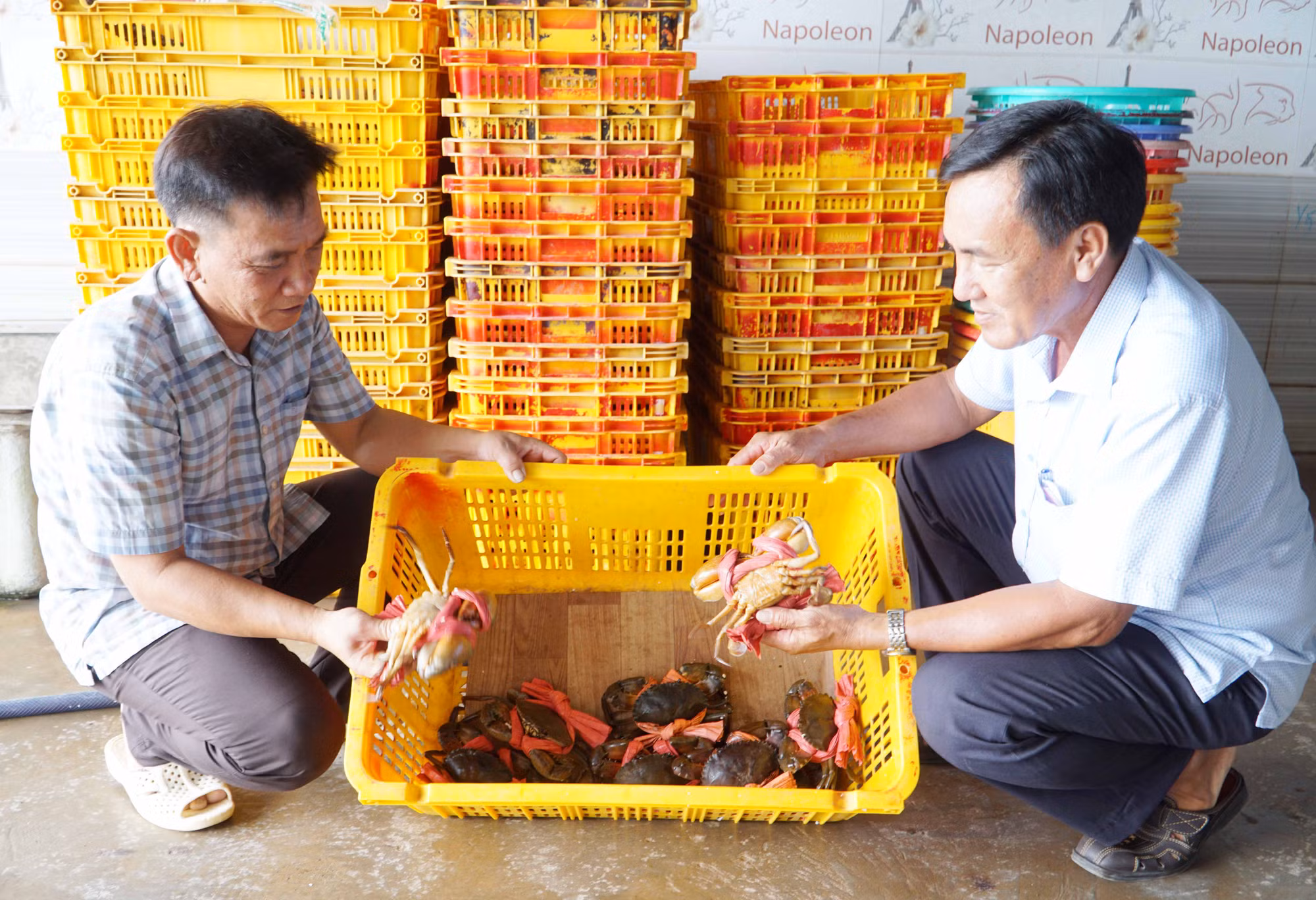 Khai thác giá trị thương hiệu cua Năm Căn (Cà Mau) -1