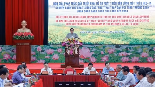 Thủ tướng chủ trì Hội nghị triển khai Đề án 1 triệu hécta lúa chất lượng cao