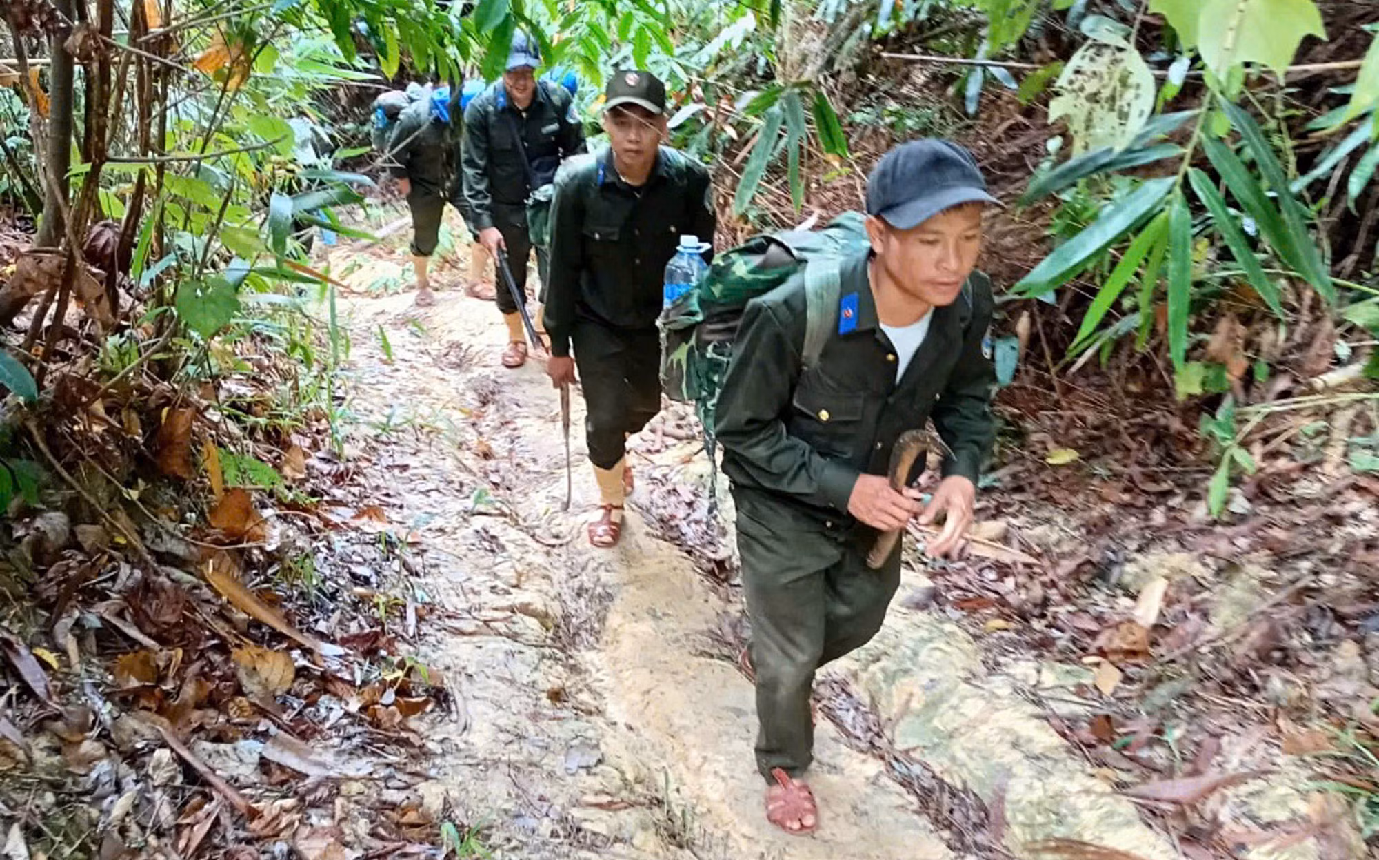 Tăng cường công tác quản lý, bảo vệ rừng tại huyện miền núi Nam Giang -0