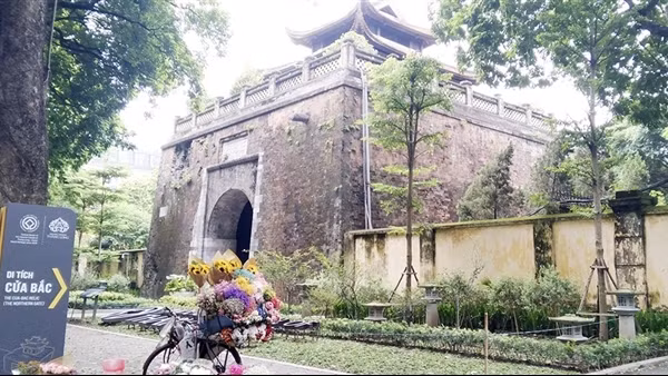 Nhịp phố bốn mùa hoa