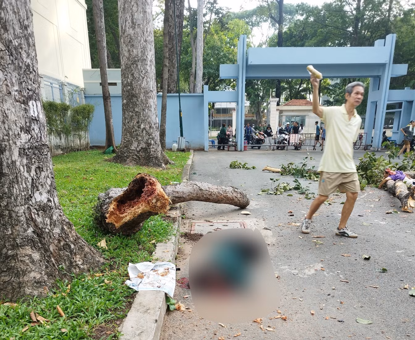 Công ty Công viên cây xanh nói gì về vụ cành cây gãy đổ khiến 5 người thương vong? -1