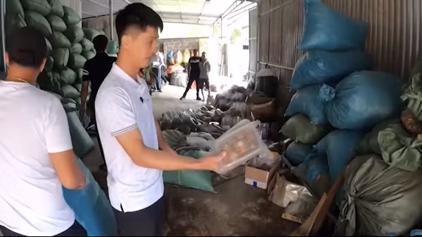 Coi chừng “tiền mất tật mang” vì mua nhầm thuốc giả trên mạng